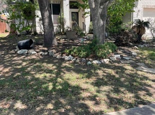 Leaf Removal by Daniel Mora for dan M. in Cibolo, TX