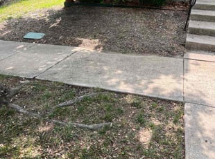 Leaf Removal by Montieth McGee for Veronica T. in Savannah, TX