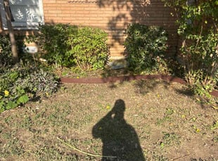 Craig S.'s Bush Trimming service result