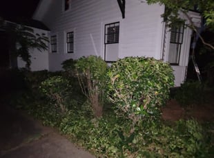 Bush Trimming by Marcus Cureton for Catherine P. in Charlotte, NC