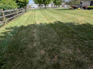 Annie P.'s Lawn Service service result