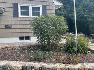 Bush Trimming by Steve Valverde for Nic F. in North Attleborough, MA