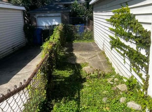 Salman S.'s Bush Trimming service result