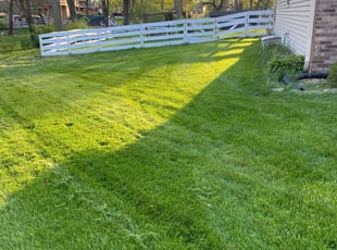 Linda D.'s Lawn Service service result