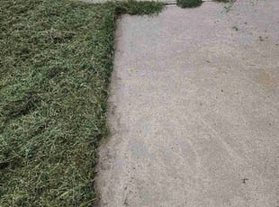 Cheryl G.'s Lawn Mowing service result