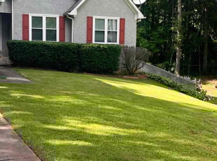 Sheri B.'s Bush Trimming service result