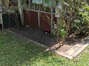 Patrick K.'s Flower Bed Weeding service result
