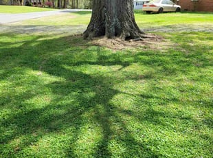 Weeding by Clyde Scotton for James B. in Siler City, NC