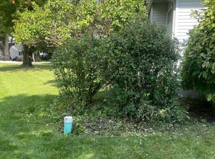 Bush Trimming by Phillip Crews for Jonathon F. in Pemberville, OH