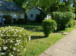 Bush Trimming by Angel P. for Lee B. in Falls Church, VA