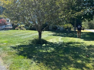 Joseph M.'s Yard Cutting service result