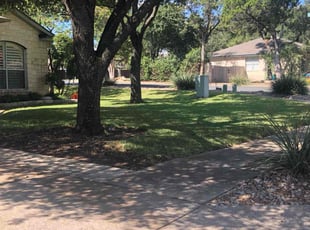 Shelly S.'s Lawn Mowing service result