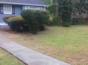 Bush Trimming by Jazzmin Earl for Ashraf S. in Stone Mountain, GA