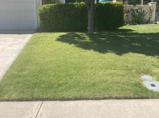 Huda M.'s Lawn Service service result