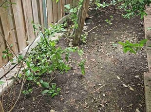 Cleanups by Manuel Solis Soto for Sarah H. in Garland, TX
