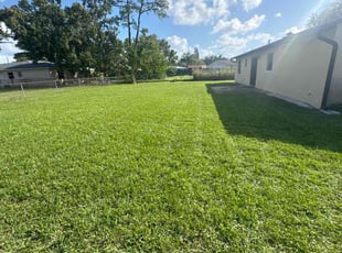 Aida R.'s Grass Cutting service result
