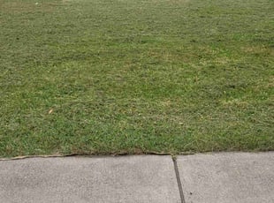 Sheila E.'s Lawn Service service result