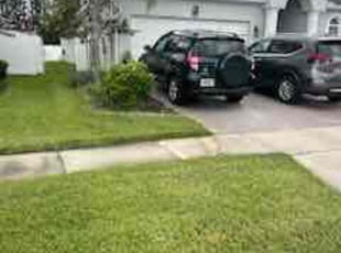 Rey S.'s Lawn Care service result