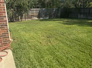 Alexandra A.'s Lawn Mowing service result