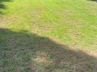 Weeding by Steve Valverde for Jason W. in Cumberland, RI