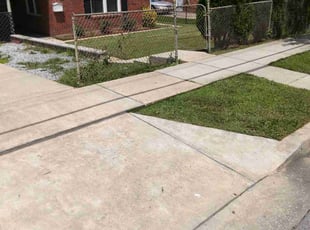 Rocky H.'s Lawn Mowing service result