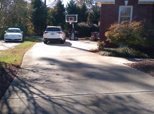 Leaf Removal by Marvin White for Karishma P. in Chesapeake, VA