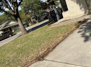 Leaf Removal by Noe Perez for Phyllis C. in San Antonio, TX