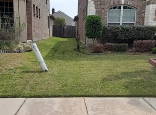 Bush Trimming by Dominique Craft for Lisa m. in Little Elm, TX