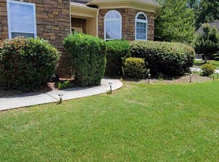 Bush Trimming by Jerry Pender for Sydney M. in Buford, GA