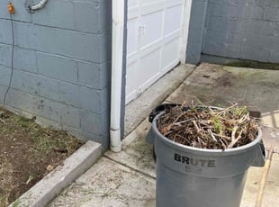 Cleanups by Vincent Daniele for Phillip W. in Pittsburgh, PA