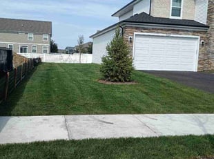 Jose G.'s Lawn Care service result