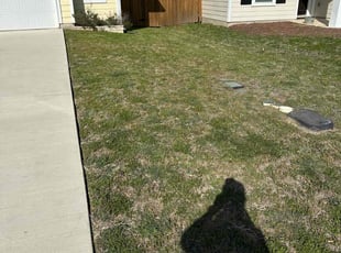Ebiswa W.'s Lawn Service service result