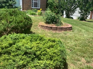Bush Trimming by Khalim Yularnis for Shandra L. in Sterling, VA