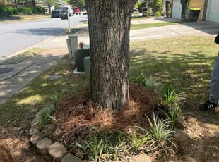 Weeding by Jada Ingram for Robin I. in Newnan, GA
