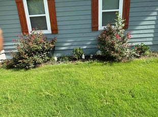 Weeding by Kevin Glenn for Ashlyn s. in Memphis, TN