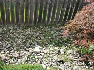 Weeding by Ronald Burton for Brooke S. in Tonawanda, NY