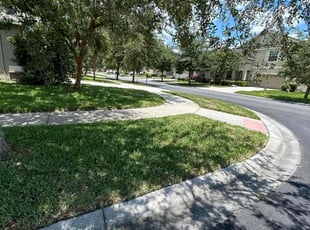 Chelsea S.'s Lawn Service service result
