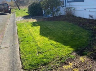 Donald H.'s Lawn Mowing service result