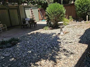 Leaf Removal by Juan Rodriguez for Patricia B. in Sacramento, CA