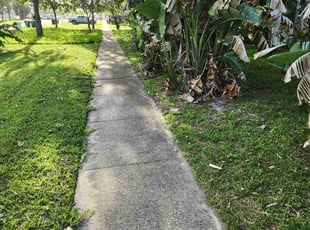 Teresita F.'s Bush Trimming service result