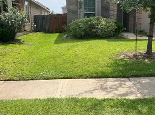 Ashley c.'s Lawn Service service result