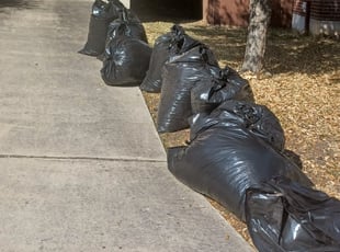 Cleanups by Miguel Rojas for Cybele M. in San Antonio, TX