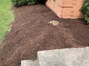 Mulching by Aaron Thichangthong for Michael S. in Woodbridge, VA