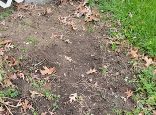 Weeding by Christopher Horstman for Laura R. in Cincinnati, OH