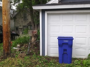 Bush Trimming by David Gallaway for Karen B. in Saint Paul, MN