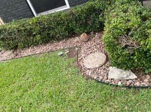 Weeding by Quinton William for Dex D. in Dallas, TX