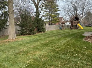 Leaf Removal by Robert Wilkins Jr for Jordana C. in Carmel, IN