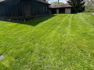 Jonathan P.'s Lawn Service service result