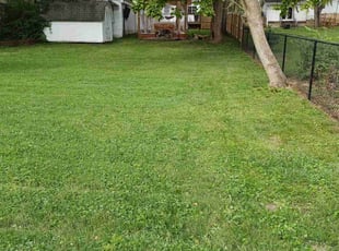 Leaf Removal by Mitchell Johnson for Brad S. in Cincinnati, OH