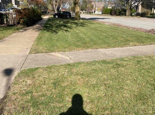 Leaf Removal by Jose Sanchez for George H. in Naperville, IL